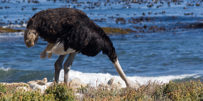 “That Won’t Happen to Me” Bingo: Why Business Owners Must Stop Gambling with Their Future